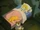 Bad Dreams Are Made of This