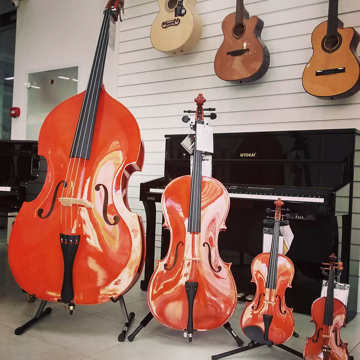 Violin and double bass deals