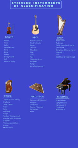 Types of string store instruments