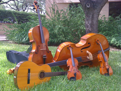 Фамилия скрипка. Контрабас инструмент. Трос контрабаса. Violin Viola Cello Double Bass. Воздушные шары путешествие виолончель гитара.