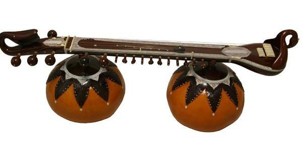 Veena The Instruments Wiki Fandom