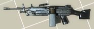 M249 WM