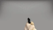 Viewmodel