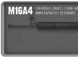 M16