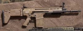 Mk17-inss