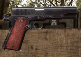 M1911-inss