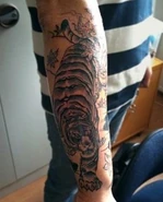 Maurice's sumatran tiger tattoo.