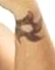 Her tattoo on her right wrist.