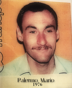 Mario Palermo International Missing Persons Wiki Fandom