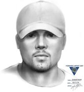 Composite of the alleged abductor