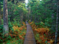 4. "Fundy National Park"