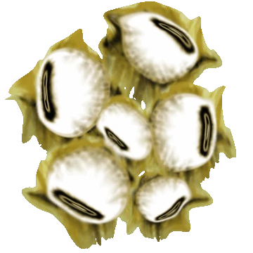 あああ AK adidas ZX Alkyne Core Black Men's - FX6249 - US