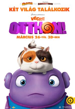 Végre otthon!.jpg