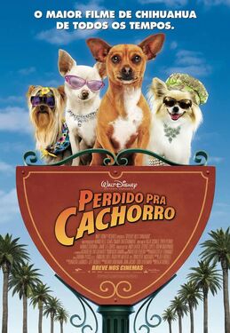 Beverly Hills Chihuahua Brazil