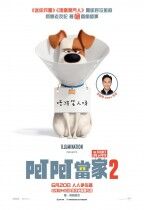Pet Pet當家2.jpg
