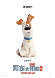 The Secret Life Of Pets - 爱宠大机密2