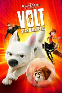 Volt, star malgré lui.jpg