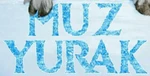 Frozen - logo (Uzbek)