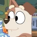 Shopper (Bluey)