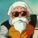 亀仙人 (ドラゴンボールZ 激突！！100億パワーの戦士たち)