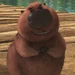 Reilly (Open Season 3)
