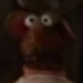 Rizzo (The Muppets, 2011)