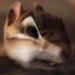 Pip (Disenchanted)