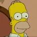 Homer Simpson (The Simpsons Movie)