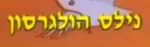 ニルスのふしぎな旅 - logo (Hebrew)