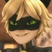 Chat Noir (Miraculous Ladybug)