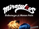 Miraculos: Buburuza și Motan Noir