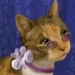 Cool Cat (Wonder Pets!)