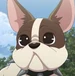 Lightning (Bakugan Battle Planet)