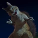 Benny (The Wild)