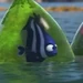 Deb (Finding Dory)