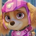 Skye (PAW Patrol The Movie)