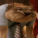 Wayne (Hotel Transylvania)