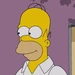 Homer Simpson (The Simpsons)