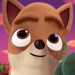 Zip (Puppy Dog Pals)