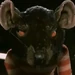 Rat (Fantastic Mr. Fox)