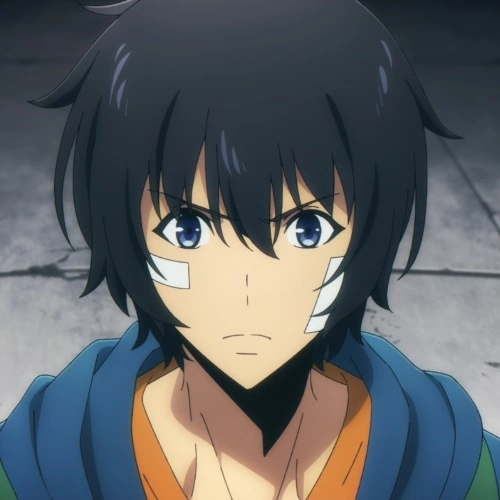 俺だけレベルアップな件　ゴールドスター　HR　SUNG JINWOO HR SL1E-091 SUNG JINWOO AUTHENTIC Solo Leveling Mapniverse Card | eBay