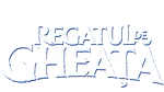 Frozen - logo (Romanian)