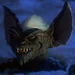Stripe (Gremlins)