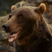 Bruce (Zookeeper)