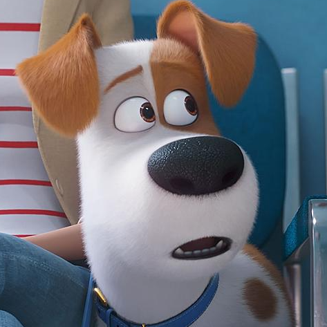 The secret life of pets 2 full movie in hindi dubbed watch online hotsell