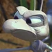 Cornelius (A Bug's Life)