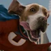 Underdog (Underdog, 2007)