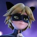 Chat Noir (Miraculous Shanghai)