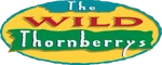 The Wild Thornberrys - logo (English)