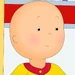 Caillou (Caillou's New Adventures)